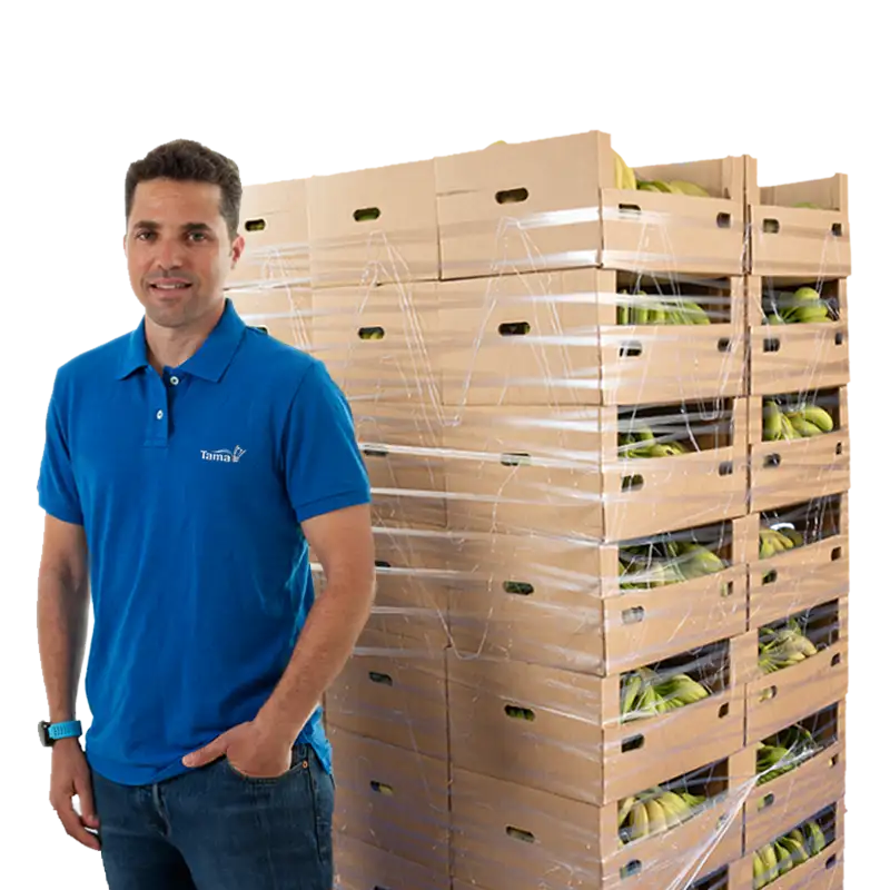 Pallets Contact Us