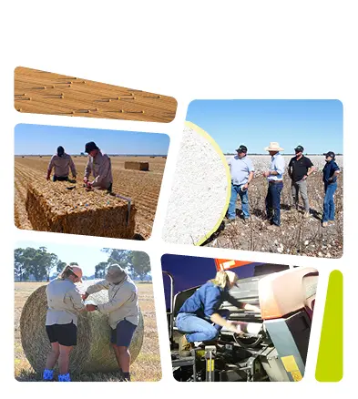 Tama Assist Homepage